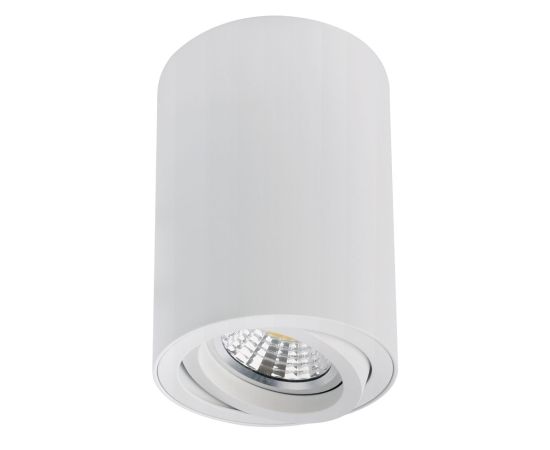 Точечный накладной светильник Arte Lamp SENTRY