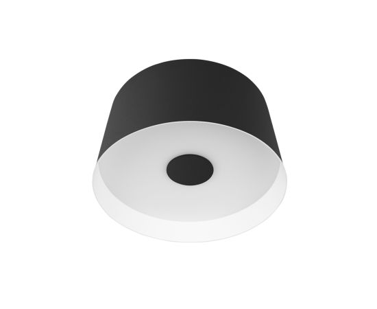 Потолочный светильник LOFT IT Duo