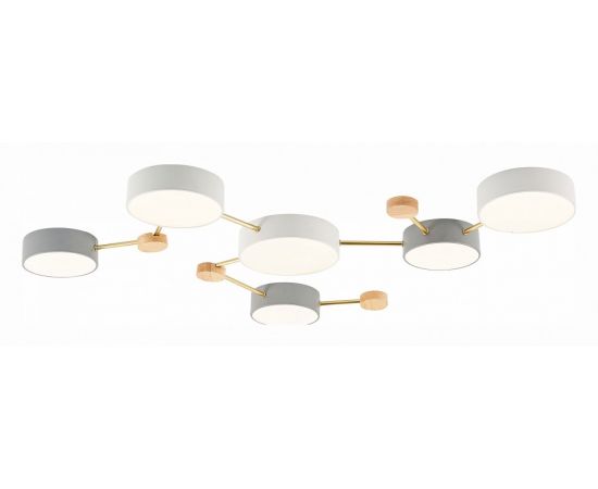 Накладной светильник EVOLUCE Dossena SLE600102-06