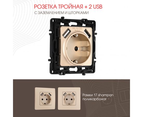 Розетка с заземлением шторками + 2 USB 16A 250V USB DC 5V 2.1A Arte Milano