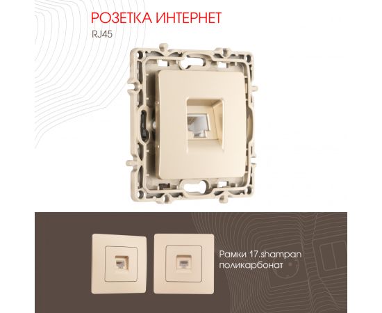 Розетка интернет RJ45 Arte Milano