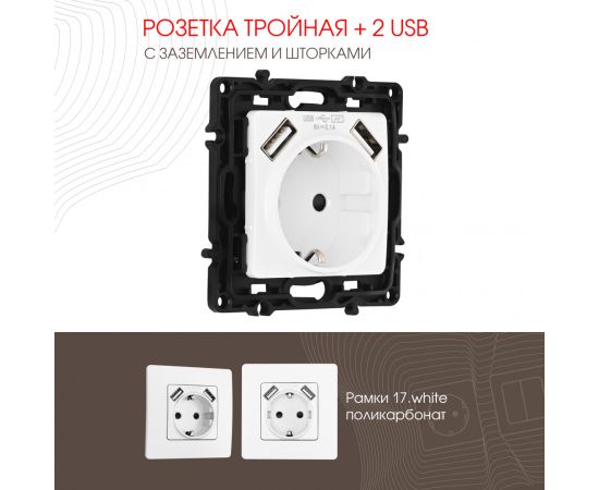 Розетка с заземлением шторками + 2 USB 16A 250V USB DC 5V 2.1A Arte Milano