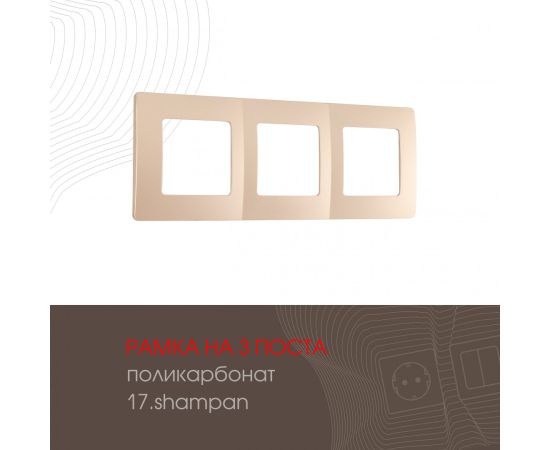 Рамка из поликарбоната на 3 поста Arte Milano