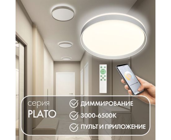 Накладной светильник Denkirs PLATO