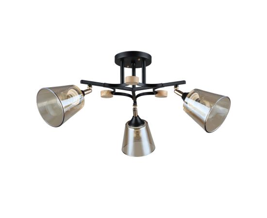 Потолочный светильник Arte Lamp GLASSY